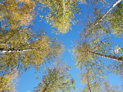 Прикрепленное изображение: 13.jpg